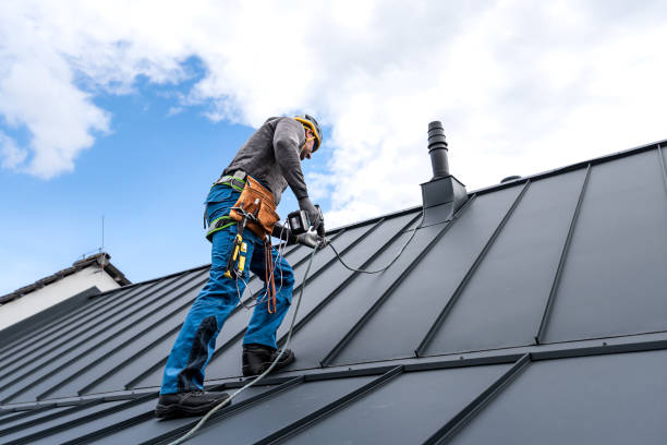 Best Solar Panel Roofing Installation  in Metter, GA
