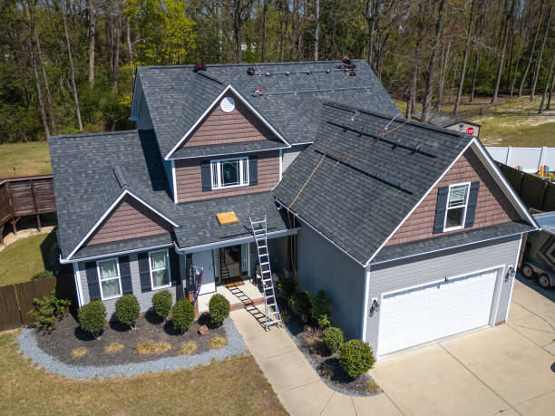 Best Roof Moss and Algae Removal  in Metter, GA